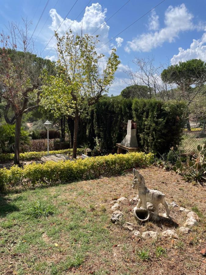 Villa Herlinda Costa Brava - With Swiming Pool Massanet De La Selva المظهر الخارجي الصورة