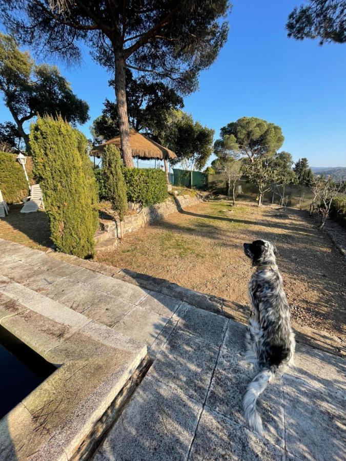 Villa Herlinda Costa Brava - With Swiming Pool Massanet De La Selva المظهر الخارجي الصورة