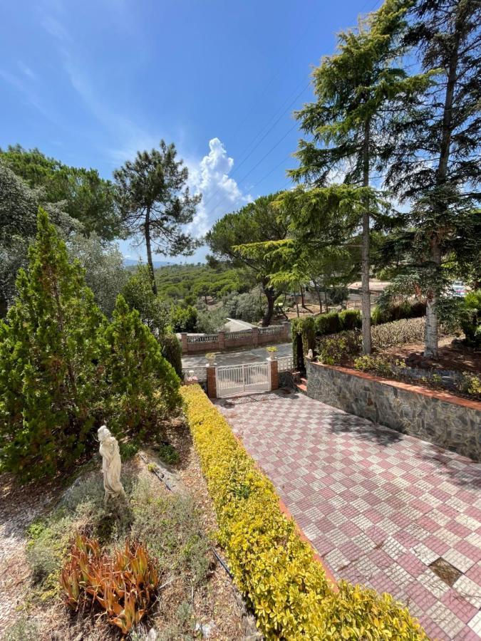 Villa Herlinda Costa Brava - With Swiming Pool Massanet De La Selva المظهر الخارجي الصورة